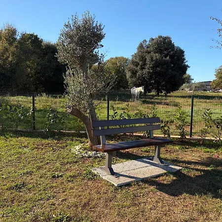 Ferienhaus Summer House Polar